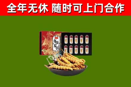 三沙回收冬虫夏草价格